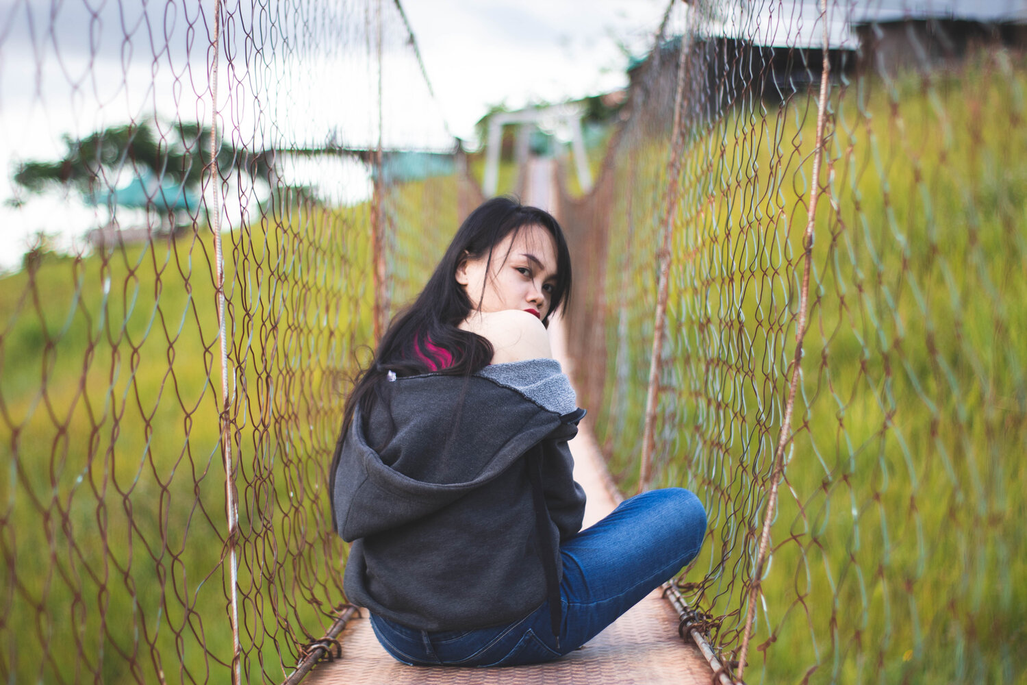 Photo #4114549