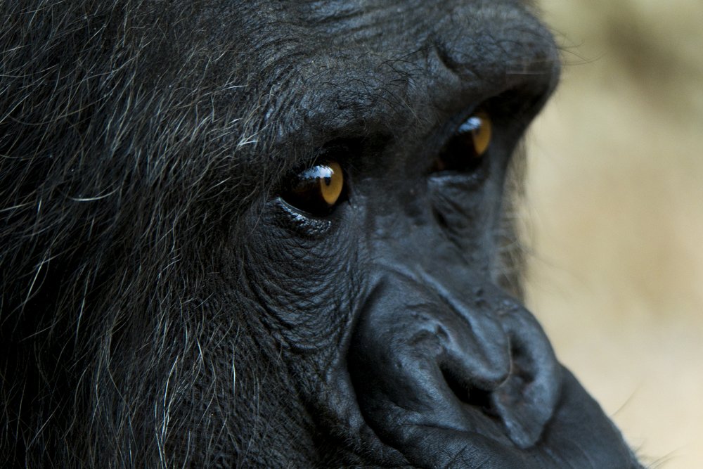 Photograph by elammouni othmane