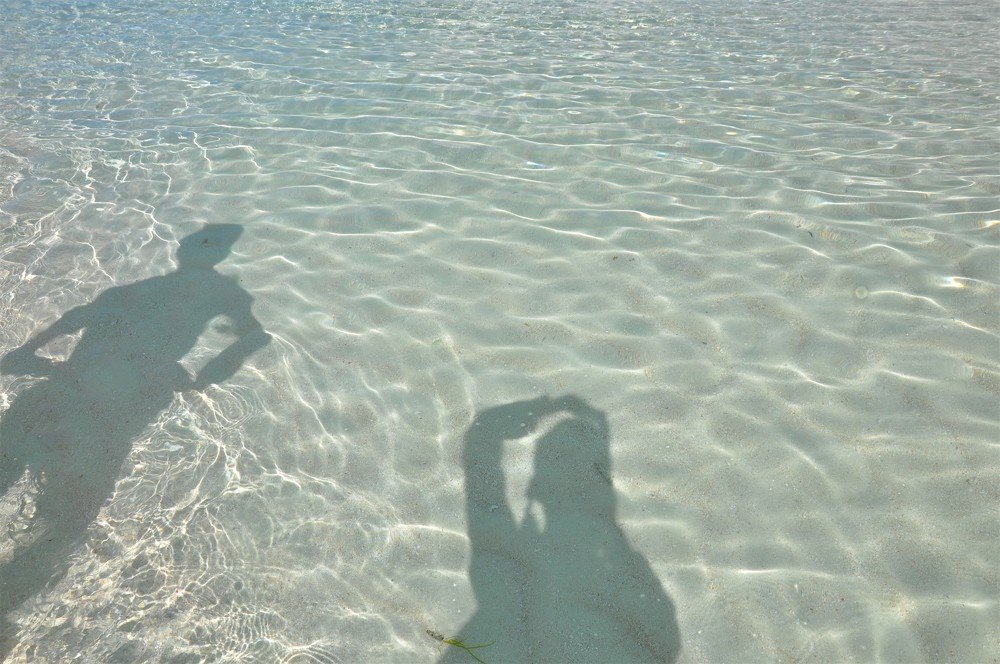 Shadow in The Water