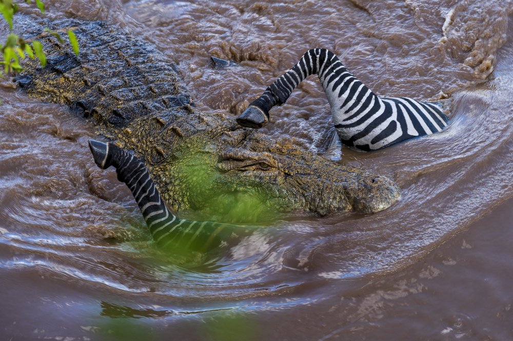 Photograph by dan tarcea