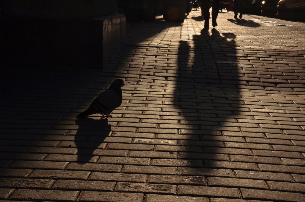 Photograph by Вера Платонова