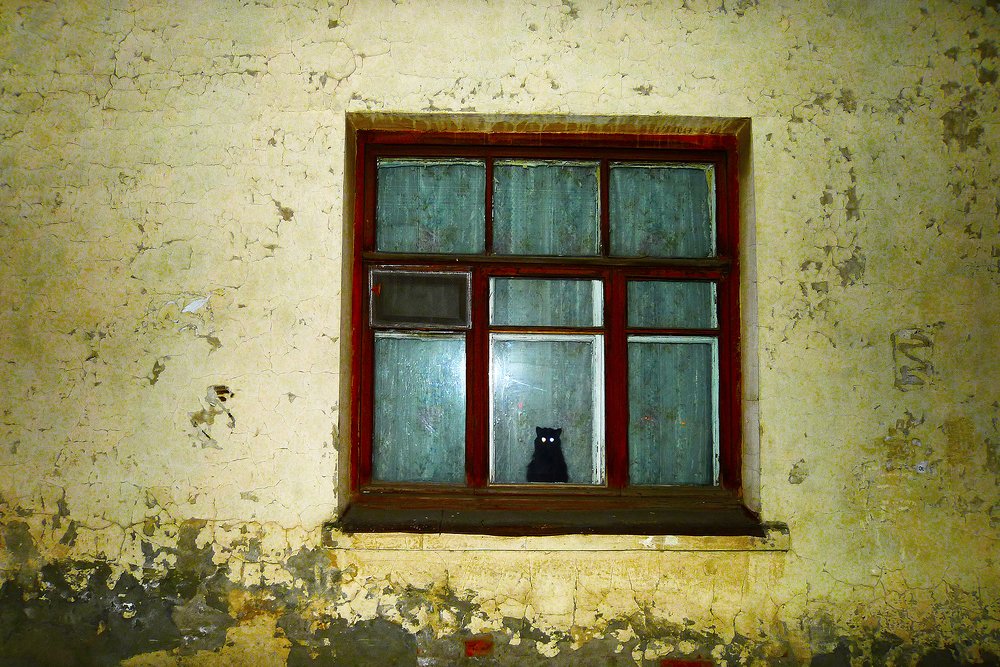 Наблюдатель