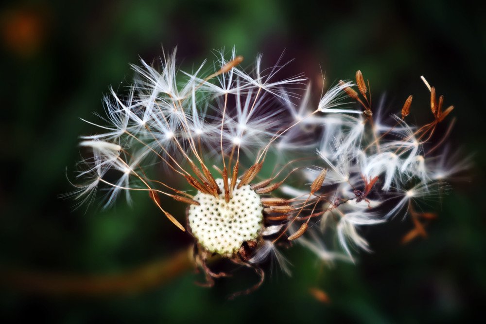 Фотография автора Анастасия Пищулова