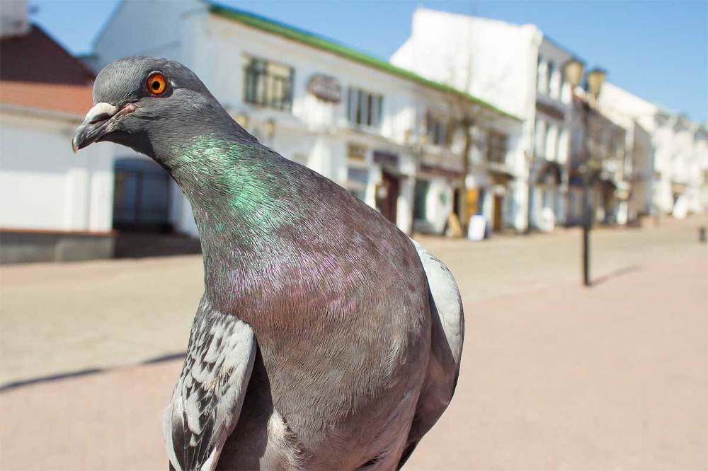 Photograph by Анна Свиридова