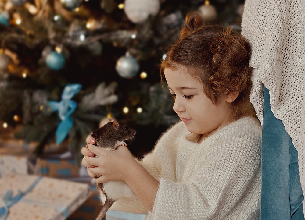 Фотография автора Viktoria Lavrova