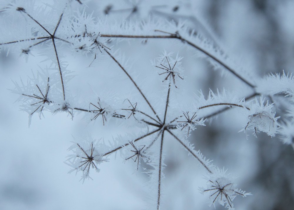 Photograph by Алексей Крукович