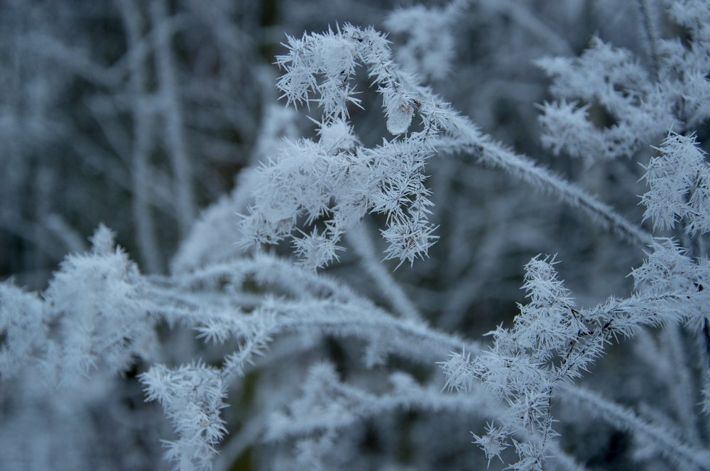 Photograph by Алексей Крукович