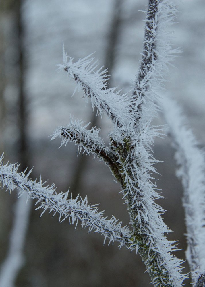 Photograph by Алексей Крукович