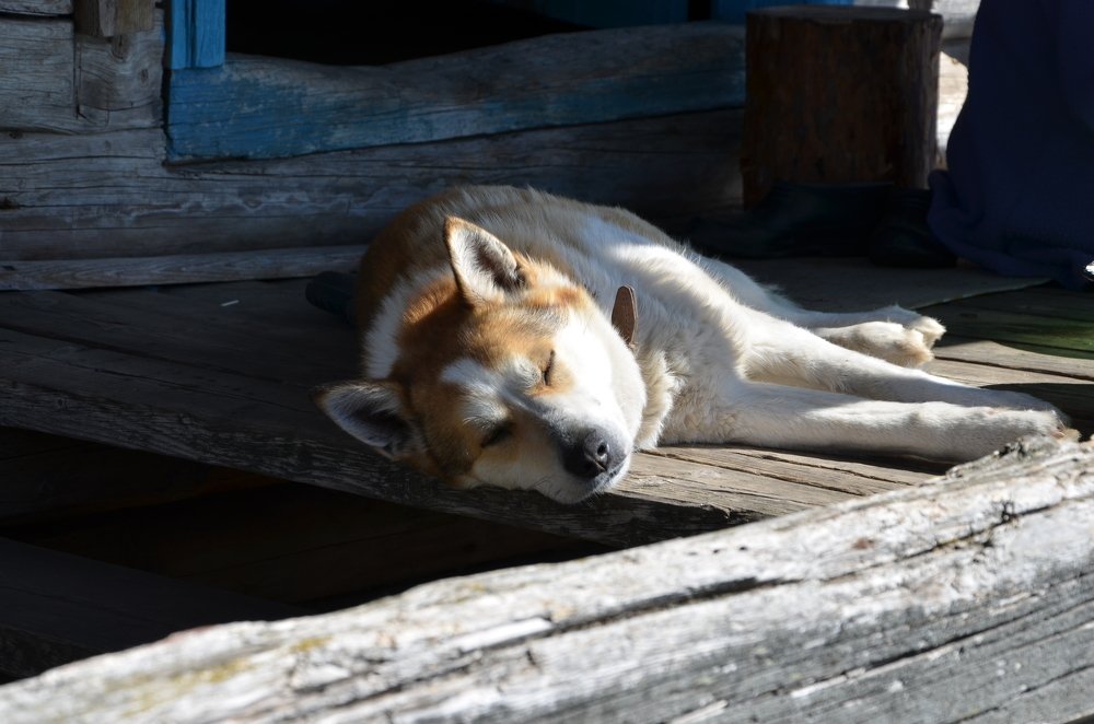 Весна пришла!