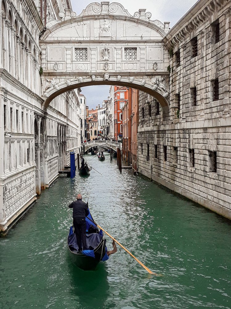 Фотография автора Ksenia Rososhek