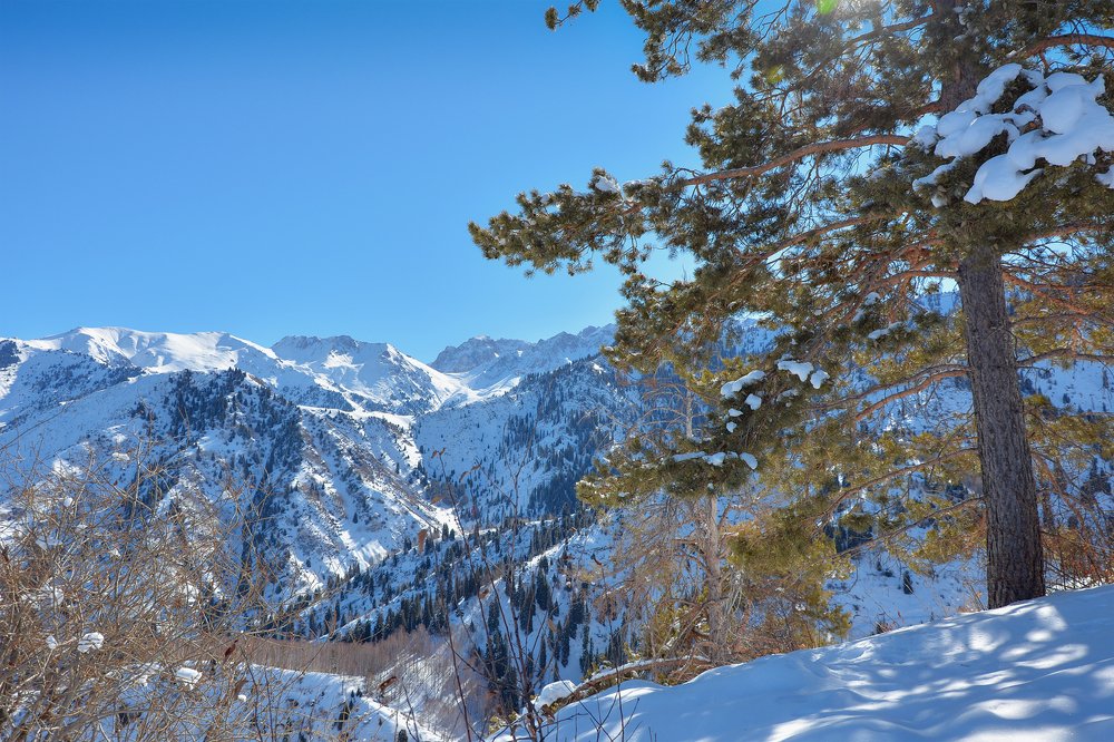 Photograph by Ферзаулин Руслан