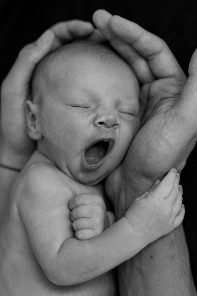 Фотография автора Ksenia Rososhek