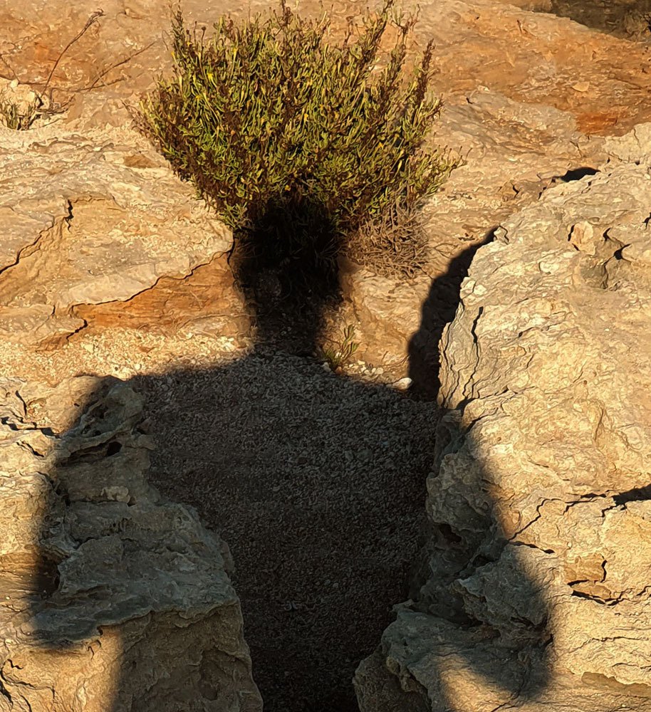 Photograph by Андрей Бойко