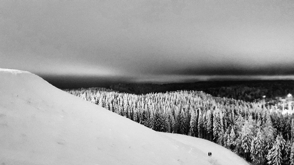 Хвойный Урман