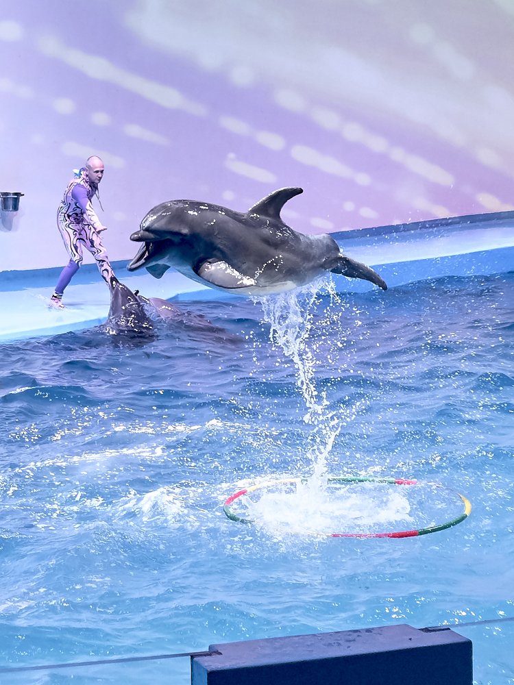 Photograph by Елена Мормоль