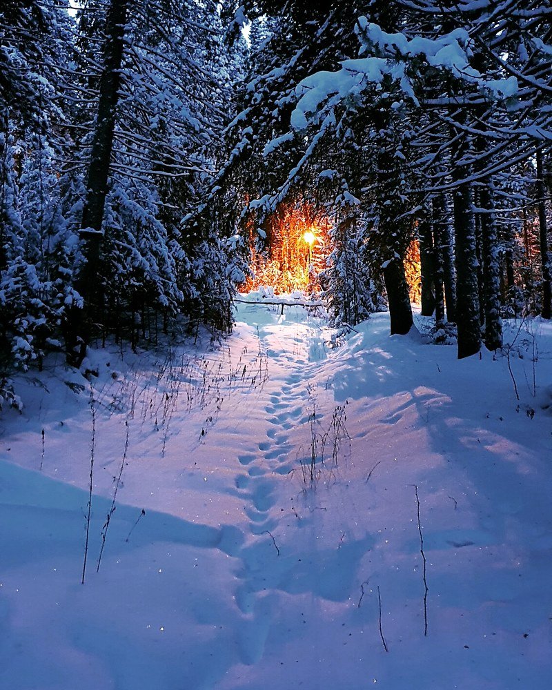 Двенадцать месяцев