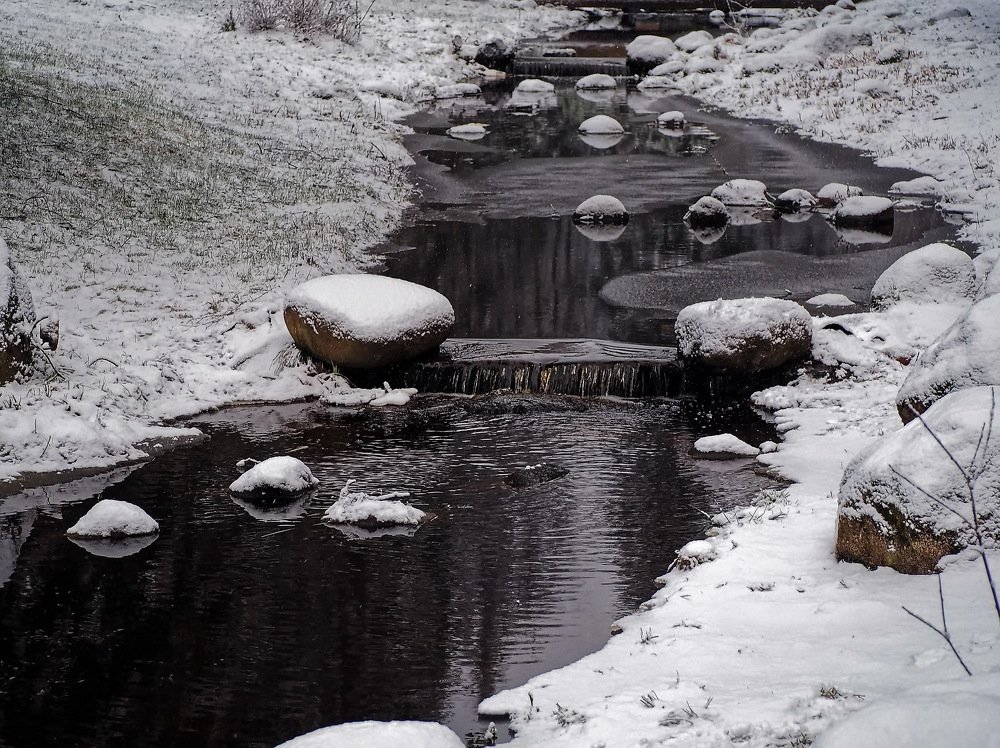 Поток жизни.