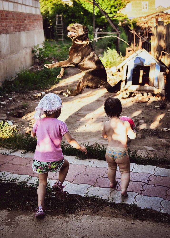 Опять внуки приехали