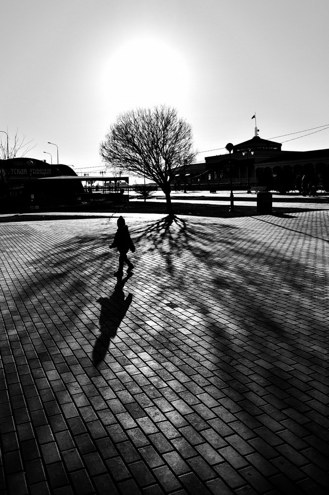 Photograph by Наталья Темная