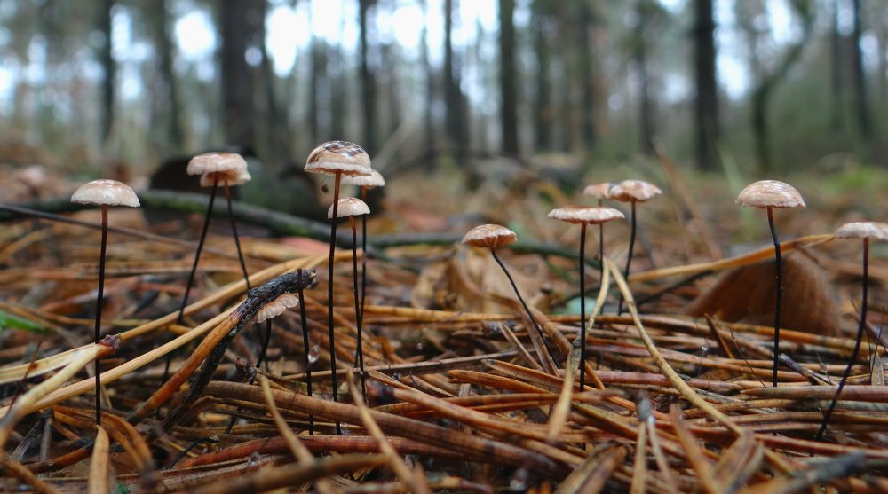 Photograph by Александр Рыбак