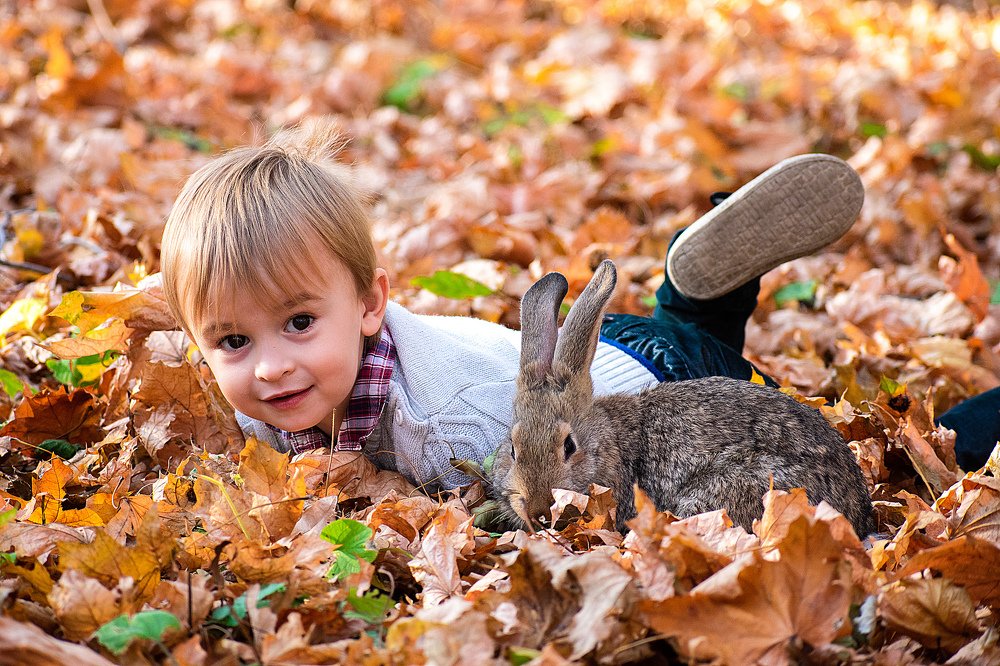 Золотая осень