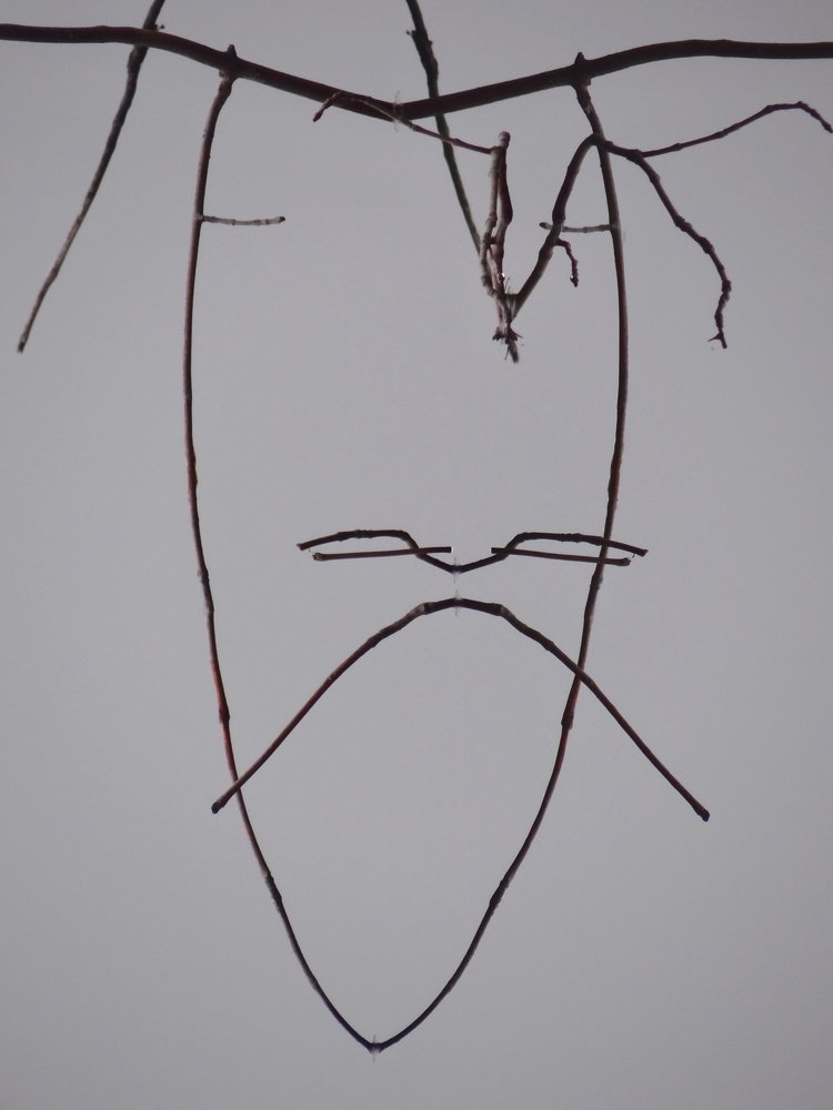 Photograph by Александр Рыбак