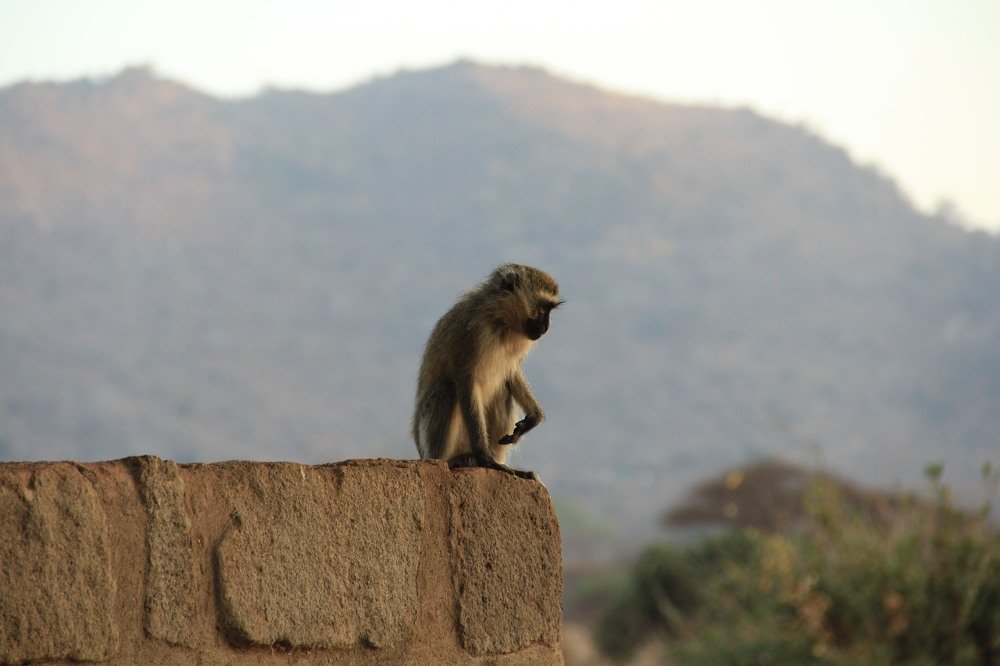 Photograph by sergio maritan