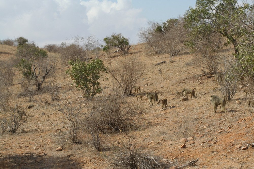 Photograph by sergio maritan