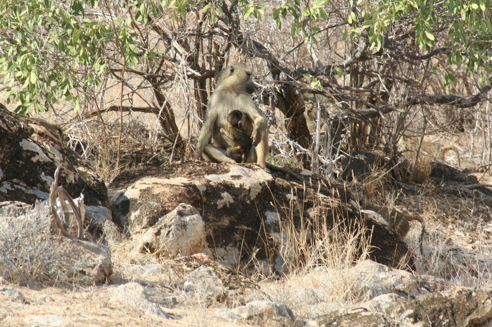 Photograph by sergio maritan