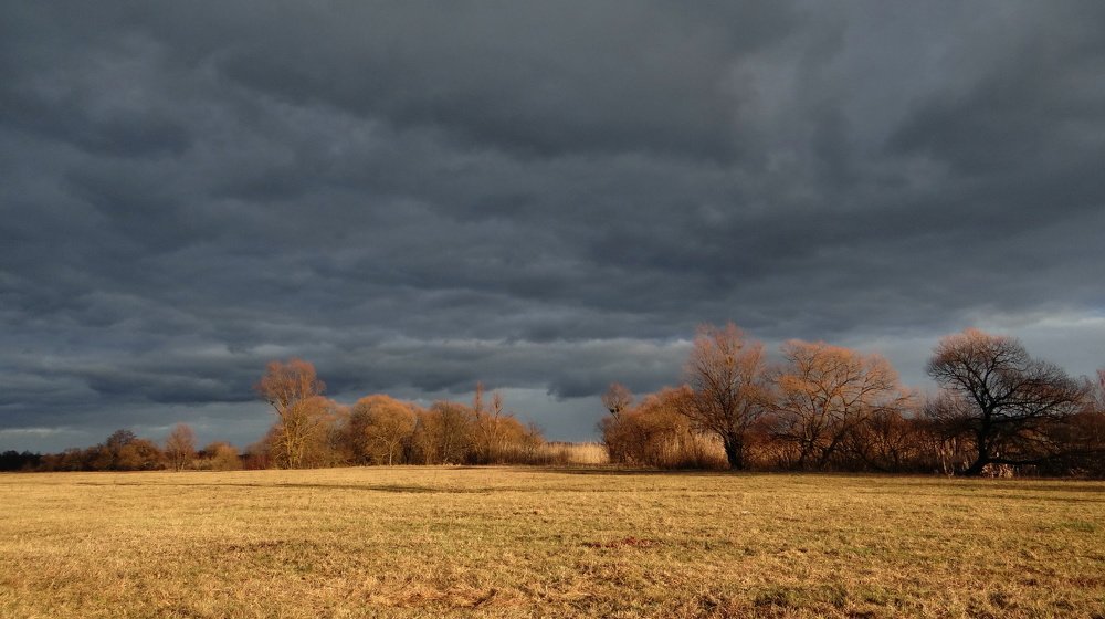 Photograph by Александр Рыбак