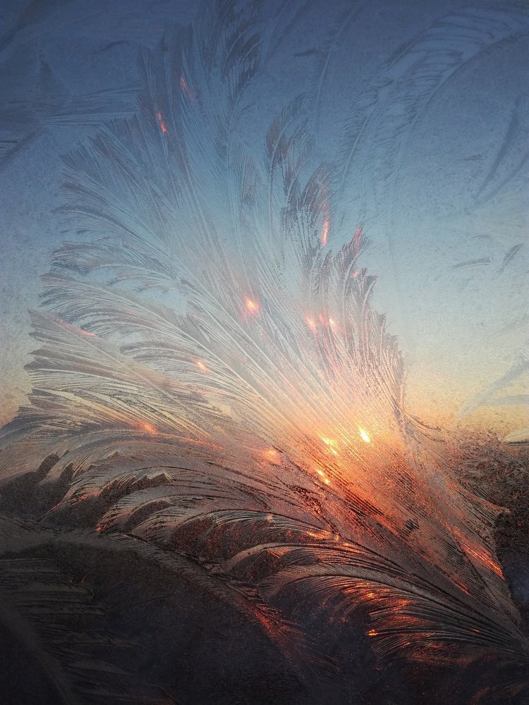 Photograph by Екатерина Абросова