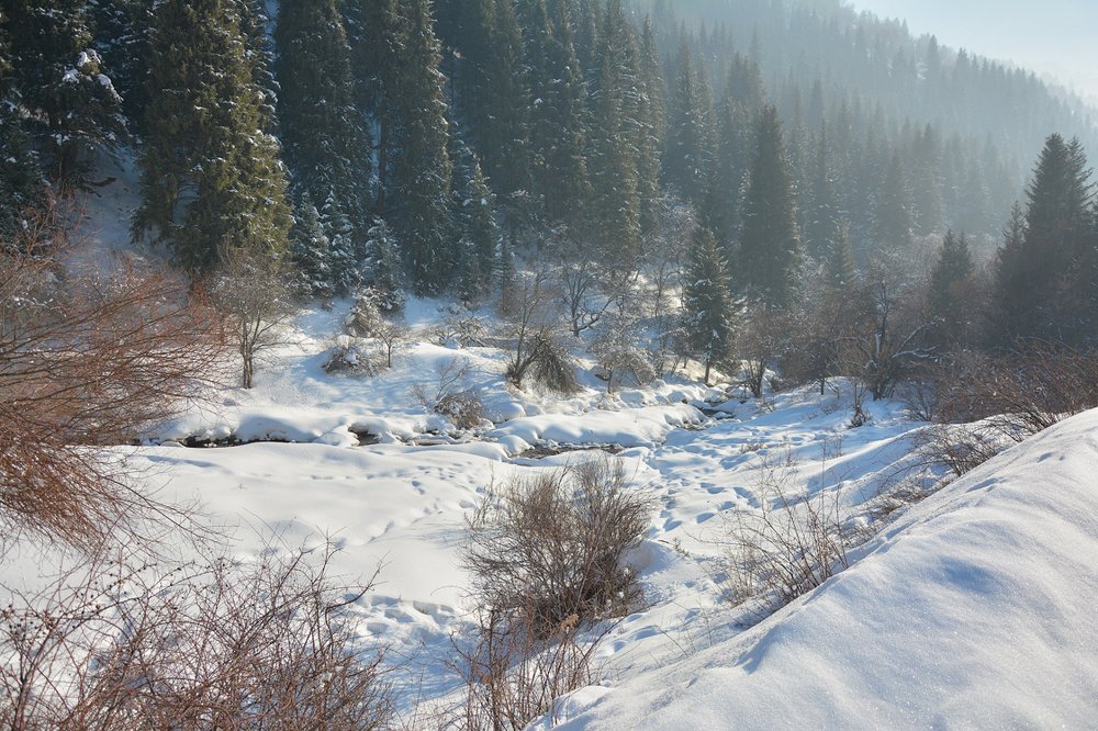 Photograph by Ферзаулин Руслан