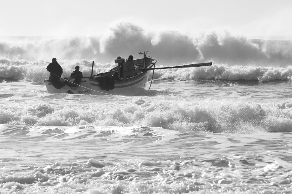 Photograph by Carlos Alberto Sequeira