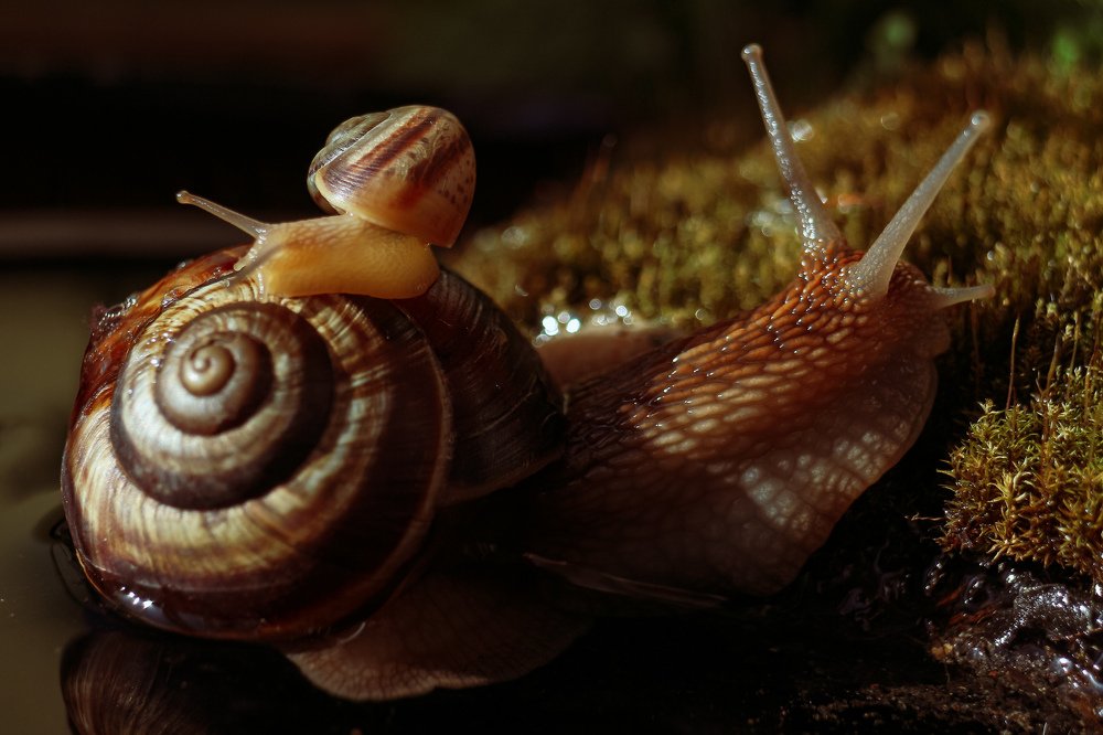 Две большие разницы.