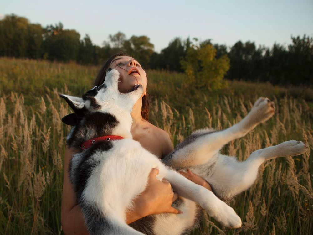 WHAT ABOUT LOVE? WHAT ABOUT TRUST?