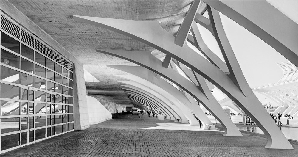 City of arts and science parking