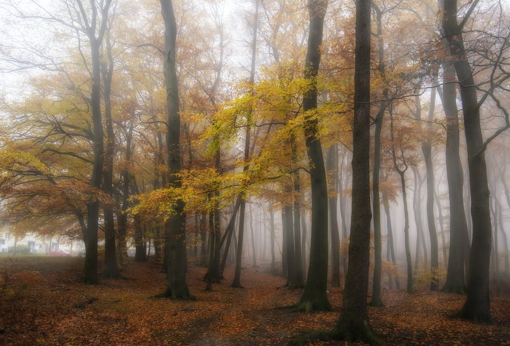 Photograph by Elina Shestakova