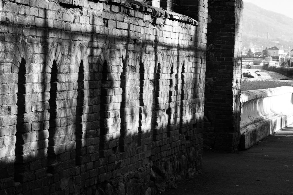 Фотография автора Оксана Белозерская