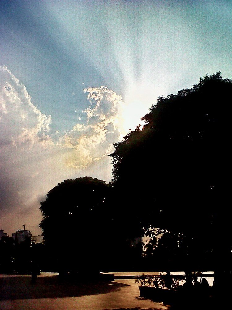 Afternoon Shiny: from the sun to the public park