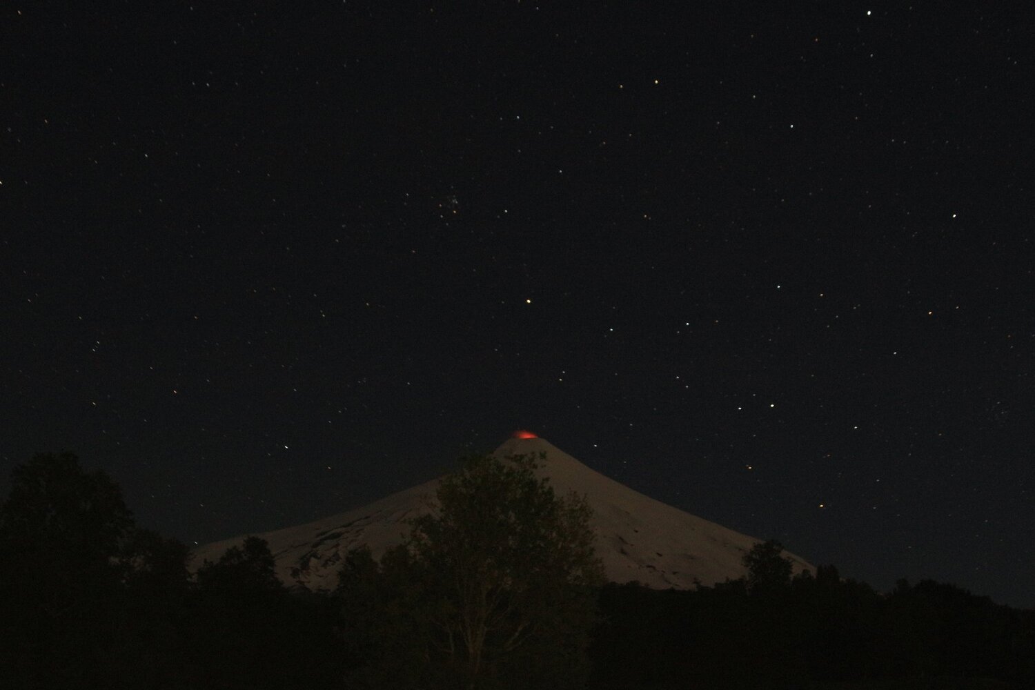 Photo #4115952
