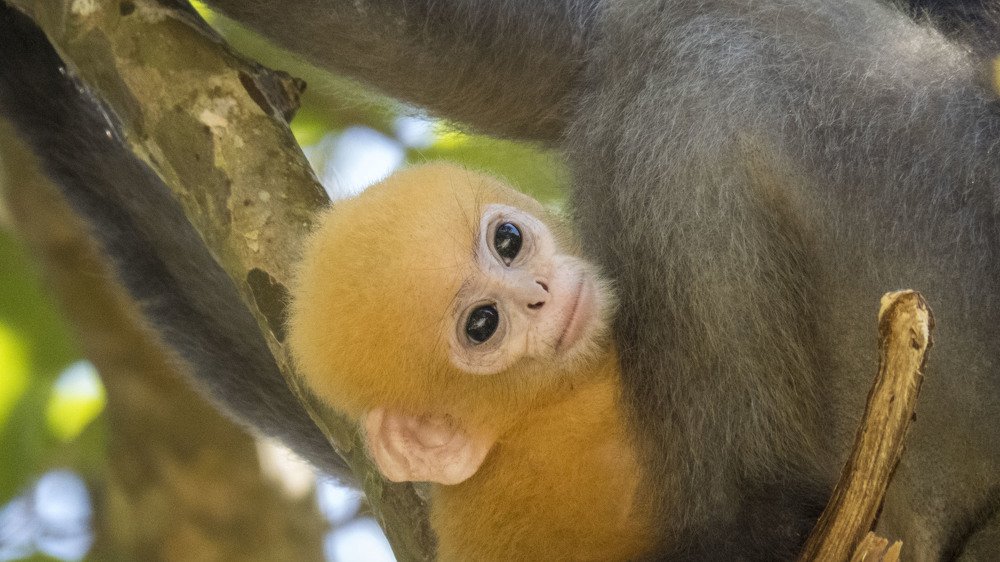 Фотография автора Виталий Медведь