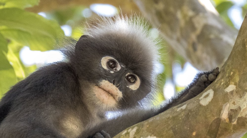 Фотография автора Виталий Медведь