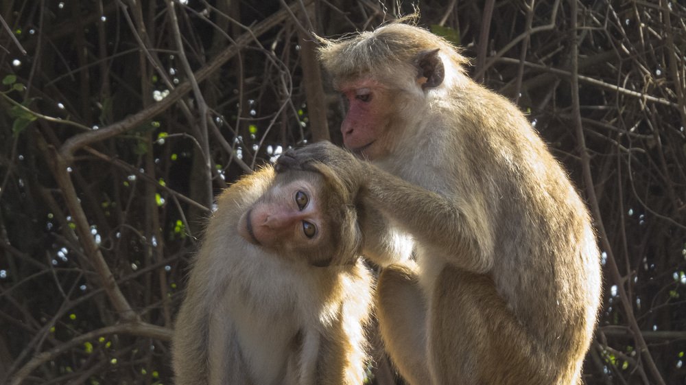Фотография автора Виталий Медведь