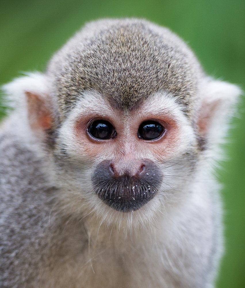 Photograph by Александр Кретов