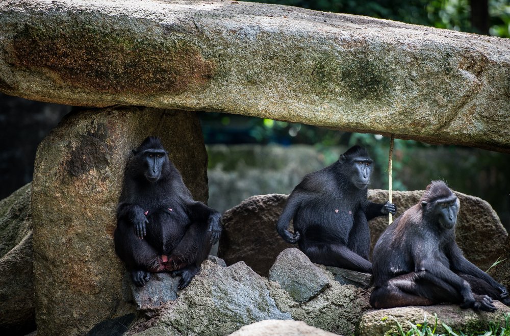 Photograph by Александр Кретов