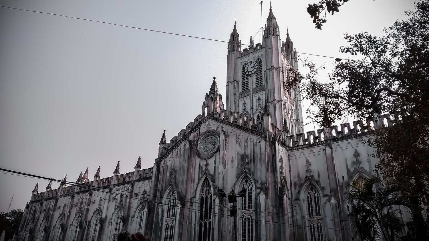 The Cathedral