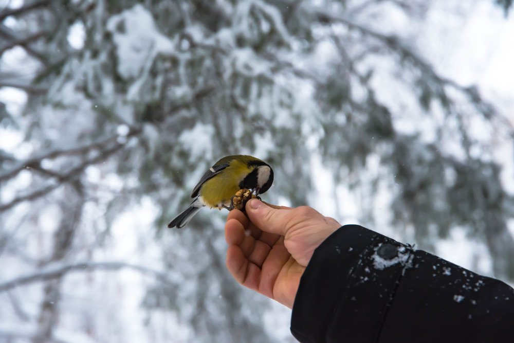 Photograph by Елена Прохорова