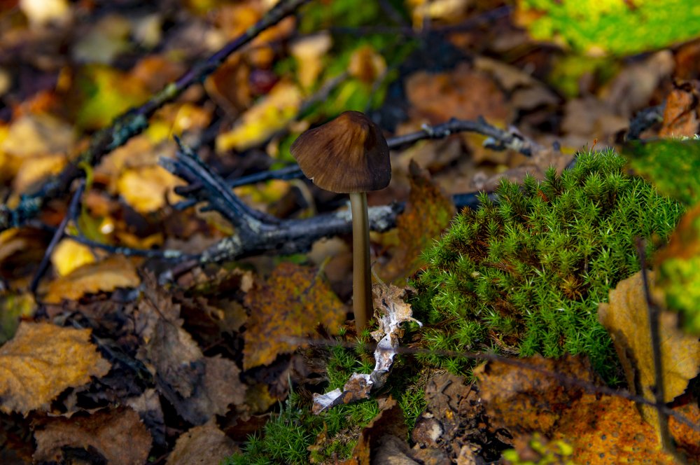 Photograph by Андрей Бунулу