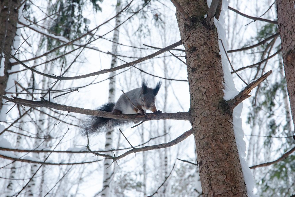 Photograph by Елена Прохорова