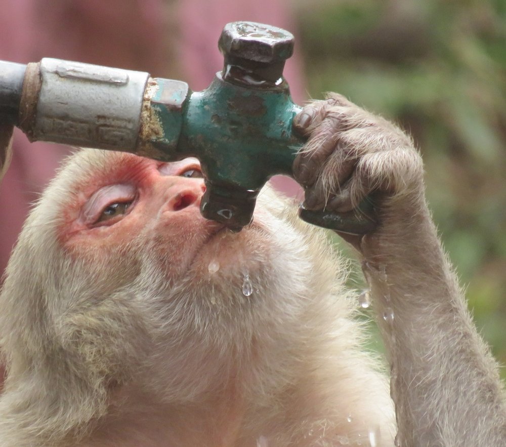 Photograph by Ranjan kumar Patra